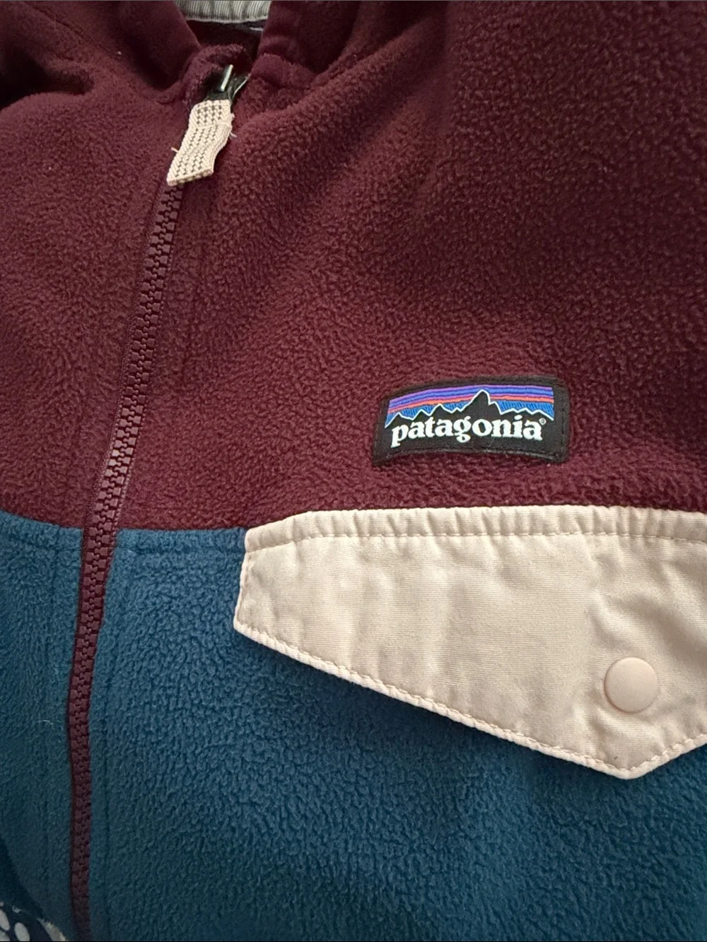 Patagonia Kids' Micro D Hooded Fleece Jacket - Burgundy & Teal